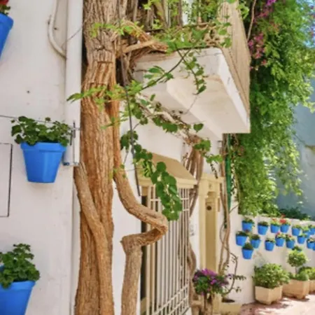 New Aires De Guadaiza Marbella